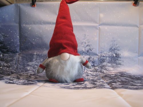 Norwegian Tomti (Santas helper)